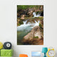 Cascades Mountain River Wall Mural