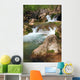 Cascades Mountain River Wall Mural