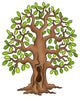 Oak Tree Wall Mural