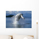 Humpback Whale Breaching Frederick Sound Se Ak Wall Mural