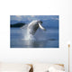 Humpback Whale Breaching Frederick Sound Se Ak Wall Mural