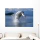 Humpback Whale Breaching Frederick Sound Se Ak Wall Mural
