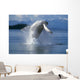 Humpback Whale Breaching Frederick Sound Se Ak Wall Mural