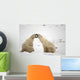Polar Bears Play Fighting At Churchill, Manitoba, Canada Wall Mural