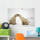 Polar Bears Play Fighting At Churchill, Manitoba, Canada Wall Mural