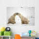 Polar Bears Play Fighting At Churchill, Manitoba, Canada Wall Mural