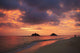 Vibrant sunset with a couple embracing on beach Wall Mural