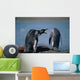Group Of King Penguins Interacting Together Wall Mural