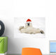 Polar Bear Wearing Santa Hat Lying On Its Back In Snow At Churchill Wall Mural