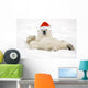 Polar Bear Wearing Santa Hat Lying On Its Back In Snow At Churchill Wall Mural