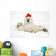 Polar Bear Wearing Santa Hat Lying On Its Back In Snow At Churchill Wall Mural