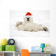 Polar Bear Wearing Santa Hat Lying On Its Back In Snow At Churchill Wall Mural