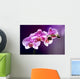 Purple orchid background romance Wall Mural