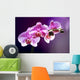 Purple orchid background romance Wall Mural