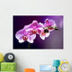 Purple orchid background romance Wall Mural