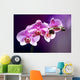 Purple orchid background romance Wall Mural