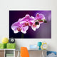 Purple orchid background romance Wall Mural