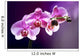 Purple orchid background romance Wall Mural
