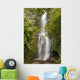 Hawaii, Maui, Hana, Wailua Falls and lush foliage Wall Mural