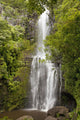 Hawaii, Maui, Hana, Wailua Falls and lush foliage Wall Mural