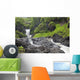 Hawaii, Maui, Hana, Seven Sacred Pools, a large stream and waterfalls Wall Mural