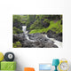 Hawaii, Maui, Hana, Seven Sacred Pools, a large stream and waterfalls Wall Mural