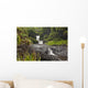 Hawaii, Maui, Hana, Seven Sacred Pools, a large stream and waterfalls Wall Mural