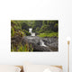 Hawaii, Maui, Hana, Seven Sacred Pools, a large stream and waterfalls Wall Mural