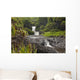 Hawaii, Maui, Hana, Seven Sacred Pools, a large stream and waterfalls Wall Mural