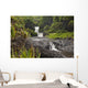 Hawaii, Maui, Hana, Seven Sacred Pools, a large stream and waterfalls Wall Mural