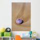 Hawaii, Maui, Makena, A purple urchin shell washes ashore Wall Mural
