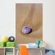 Hawaii, Maui, Makena, A purple urchin shell washes ashore Wall Mural