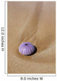 Hawaii, Maui, Makena, A purple urchin shell washes ashore Wall Mural