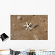 Hawaii, Maui, Makena, A starfish washes ashore Wall Mural