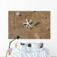 Hawaii, Maui, Makena, A starfish washes ashore Wall Mural