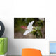 Hawaii, Maui, A closeup of white hibiscus flower Wall Mural