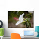 Hawaii, Maui, A closeup of white hibiscus flower Wall Mural