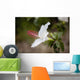 Hawaii, Maui, A closeup of white hibiscus flower Wall Mural