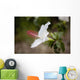 Hawaii, Maui, A closeup of white hibiscus flower Wall Mural