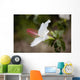 Hawaii, Maui, A closeup of white hibiscus flower Wall Mural