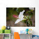 Hawaii, Maui, A closeup of white hibiscus flower Wall Mural