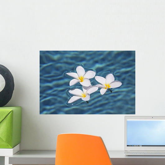 Plumeria flowers floating in clear blue water Wall Mural