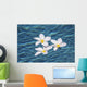 Plumeria flowers floating in clear blue water Wall Mural