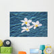 Plumeria flowers floating in clear blue water Wall Mural