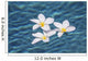 Plumeria flowers floating in clear blue water Wall Mural