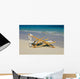 A lounge chair on the white sandy beach of Lanikai Wall Mural