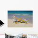 A lounge chair on the white sandy beach of Lanikai Wall Mural