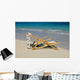 A lounge chair on the white sandy beach of Lanikai Wall Mural