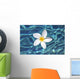 Plumeria flower floating in clear blue water Wall Mural