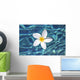 Plumeria flower floating in clear blue water Wall Mural